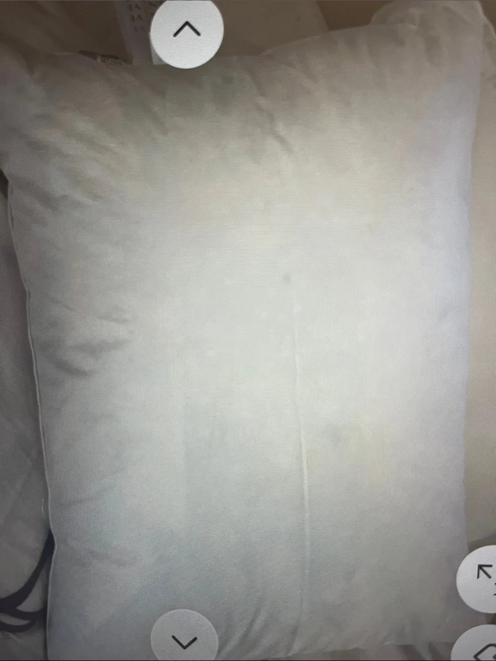 St Geneve Down Pillow brand new. Soft. Canadian made.